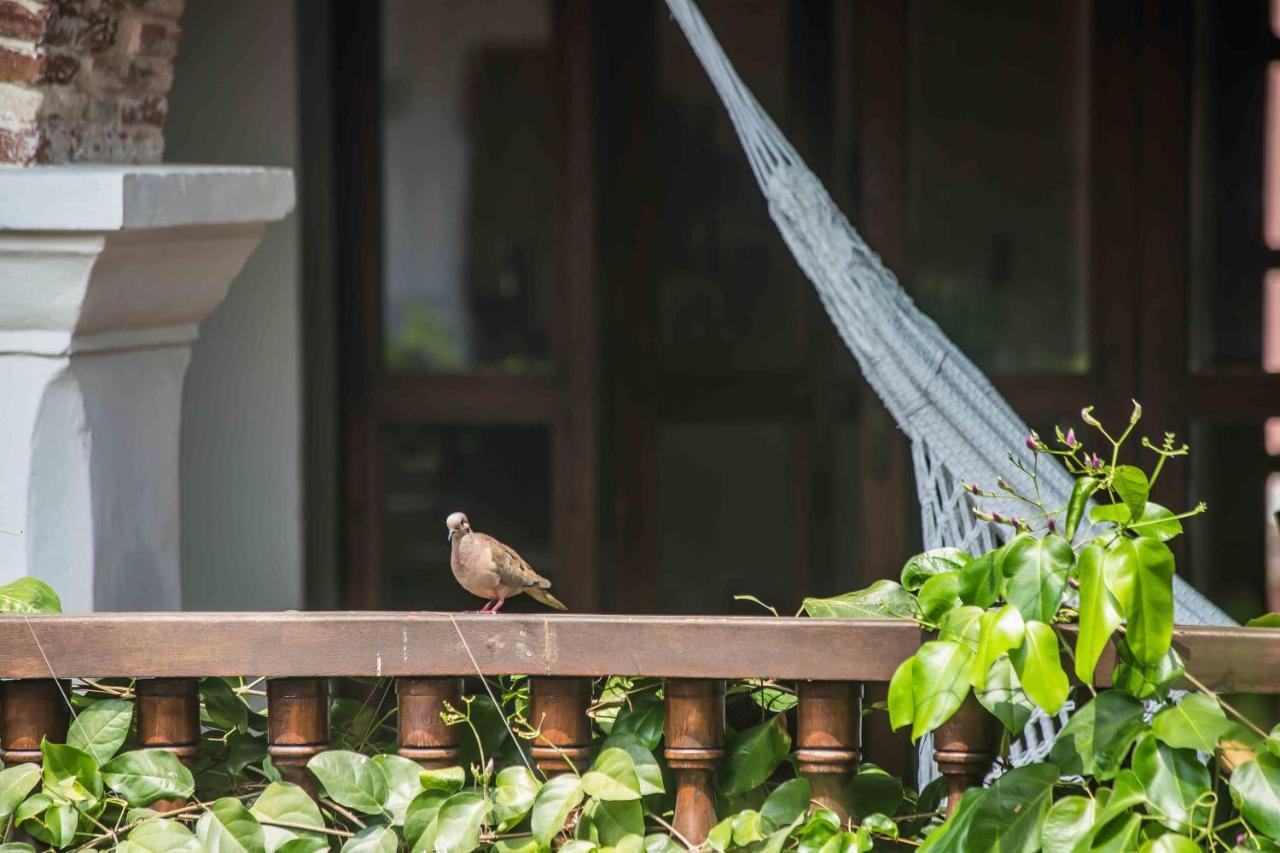 Hotel Boutique Casa Del Arzobispado Cartagena Eksteriør billede